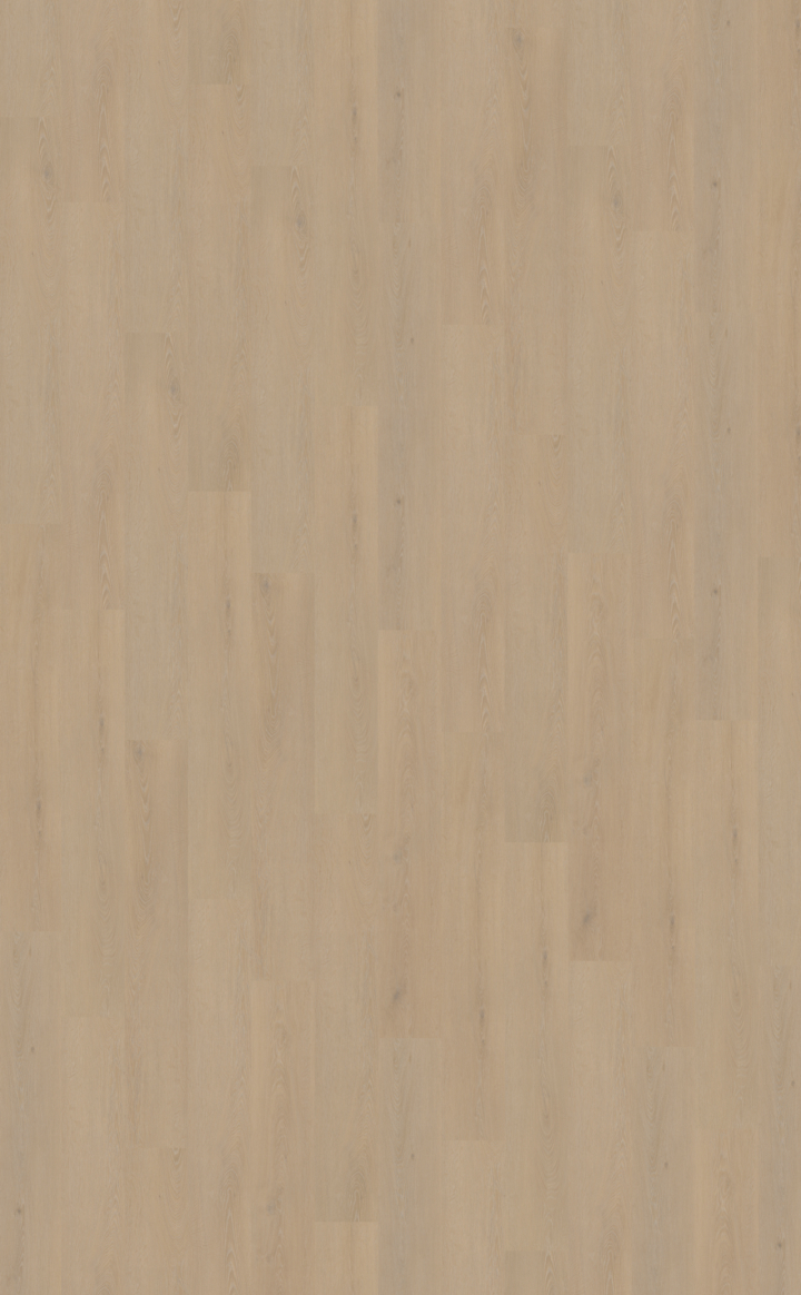 Cervo 200 | Rigid Click